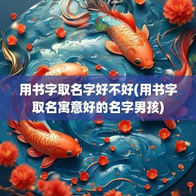 用书字取名字好不好(用书字取名寓意好的名字男孩)