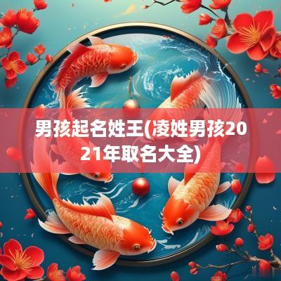 男孩起名姓王(凌姓男孩2025年取名大全)