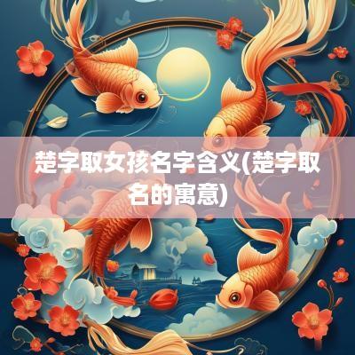 楚字取女孩名字含义(楚字取名的寓意)