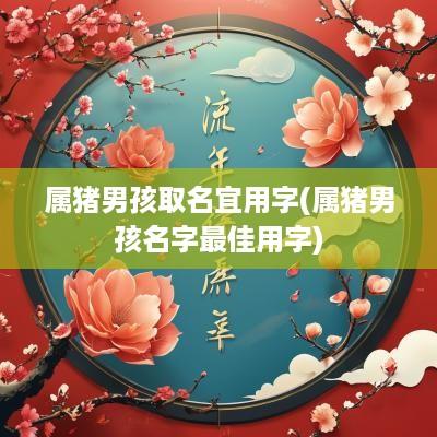 属猪男孩取名宜用字(属猪男孩名字最佳用字)