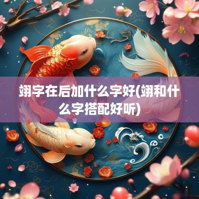 翊字在后加什么字好(翊和什么字搭配好听)