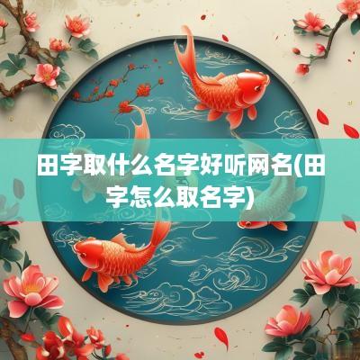 田字取什么名字好听网名(田字怎么取名字)