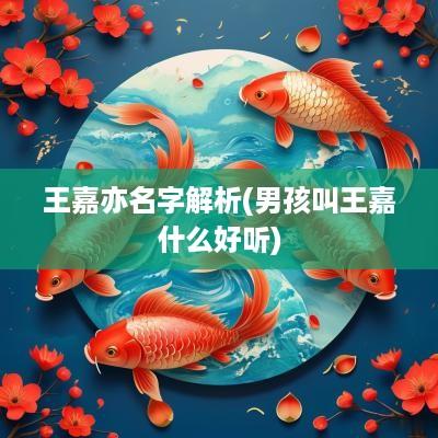 王嘉亦名字解析(男孩叫王嘉什么好听)