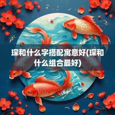 琛和什么字搭配寓意好(琛和什么组合最好)