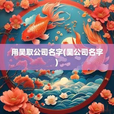 用昊取公司名字(昊公司名字)