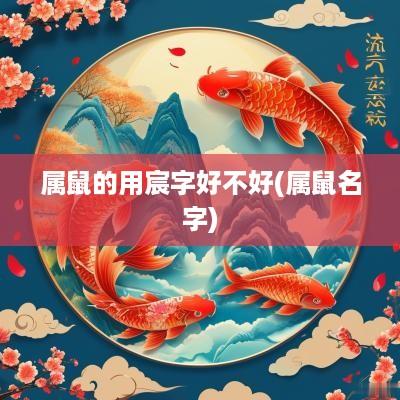 属鼠的用宸字好不好(属鼠名字)