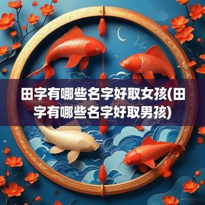 田字有哪些名字好取女孩(田字有哪些名字好取男孩)