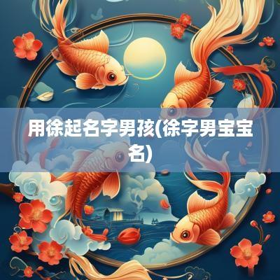 用徐起名字男孩(徐字男宝宝名)