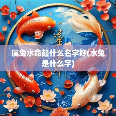 属兔水命起什么名字好(水兔是什么字)