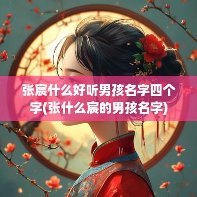 张宸什么好听男孩名字四个字(张什么宸的男孩名字)