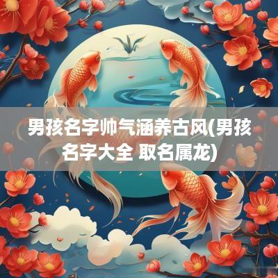 男孩名字帅气涵养古风(男孩名字大全 取名属龙)