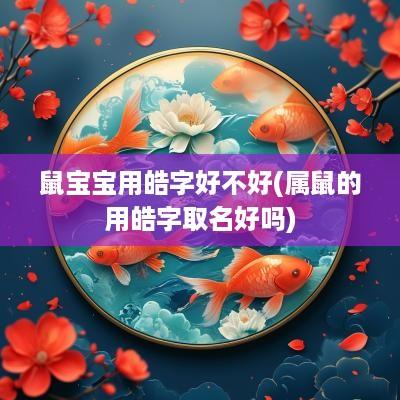 鼠宝宝用皓字好不好(属鼠的用皓字取名好吗)