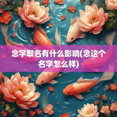 念字取名有什么影响(念这个名字怎么样)