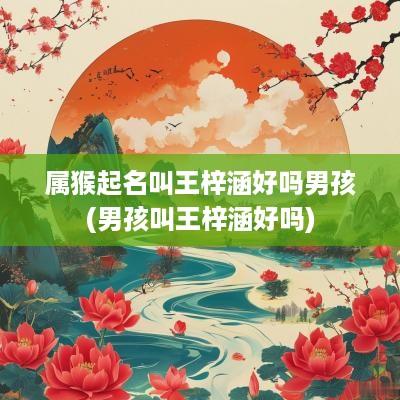 属猴起名叫王梓涵好吗男孩(男孩叫王梓涵好吗)