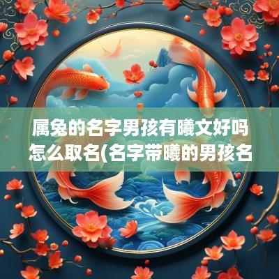 属兔的名字男孩有曦文好吗怎么取名(名字带曦的男孩名字)