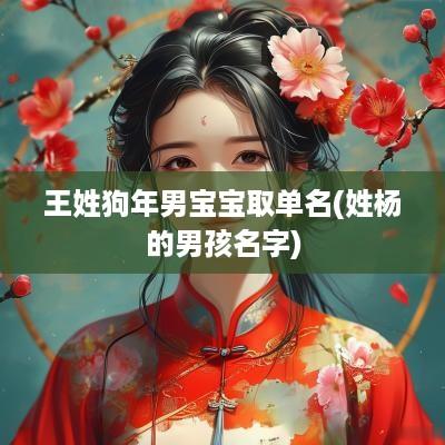 王姓狗年男宝宝取单名(姓杨的男孩名字)