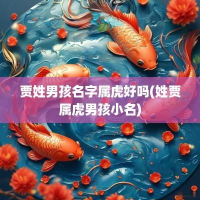 贾姓男孩名字属虎好吗(姓贾属虎男孩小名)