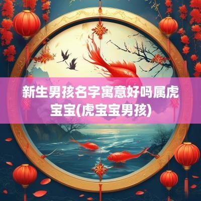 新生男孩名字寓意好吗属虎宝宝(虎宝宝男孩)