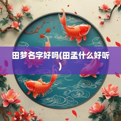 田梦名字好吗(田孟什么好听)