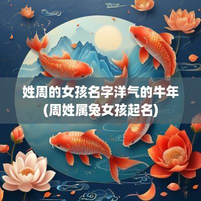 姓周的女孩名字洋气的蛇年(周姓属兔女孩起名)