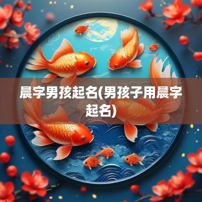 晨字男孩起名(男孩子用晨字起名)
