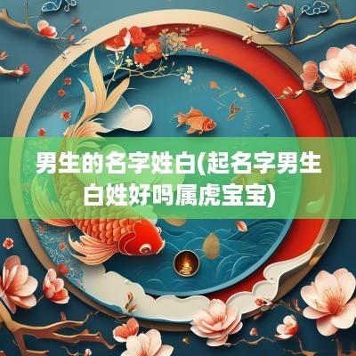 男生的名字姓白(起名字男生白姓好吗属虎宝宝)