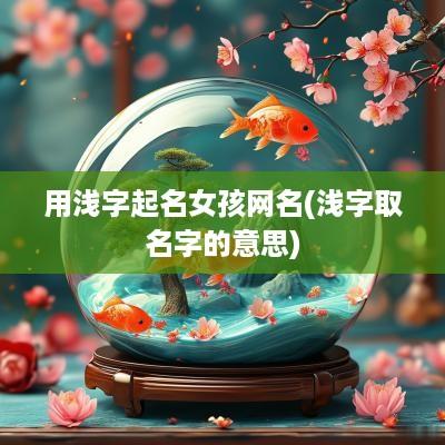 用浅字起名女孩网名(浅字取名字的意思)