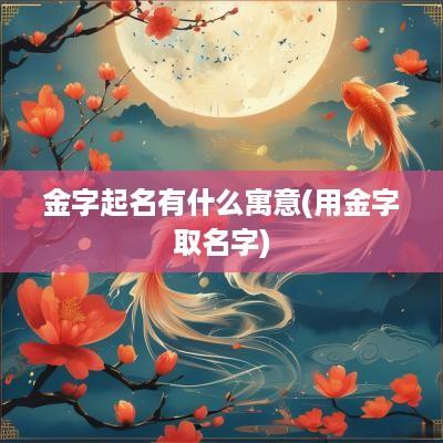 金字起名有什么寓意(用金字取名字)