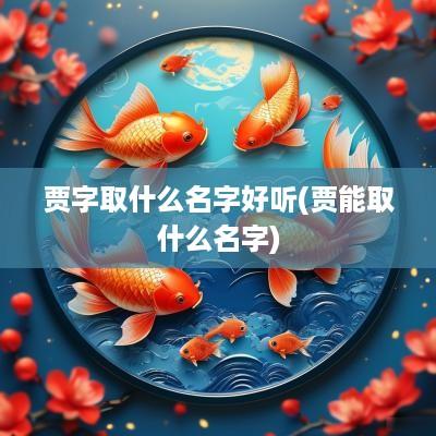 贾字取什么名字好听(贾能取什么名字)
