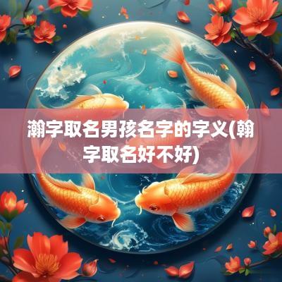 瀚字取名男孩名字的字义(翰字取名好不好)