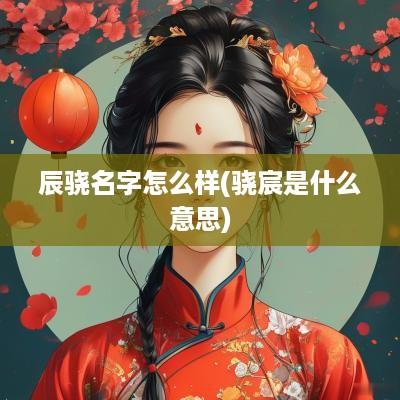 辰骁名字怎么样(骁宸是什么意思)