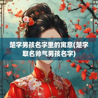 楚字男孩名字里的寓意(楚字取名帅气男孩名字)