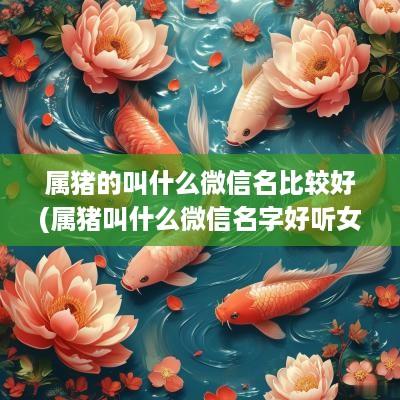 属猪的叫什么微信名比较好(属猪叫什么微信名字好听女孩子)