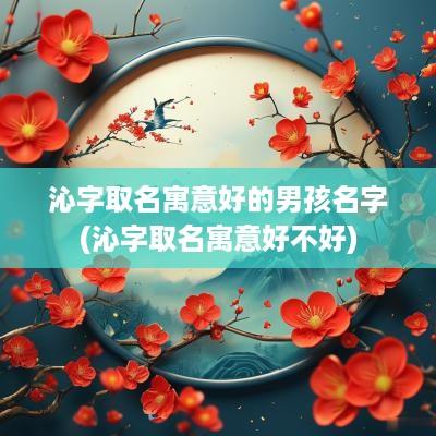 沁字取名寓意好的男孩名字(沁字取名寓意好不好)