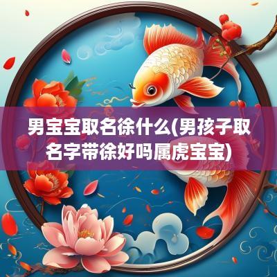 男宝宝取名徐什么(男孩子取名字带徐好吗属虎宝宝)