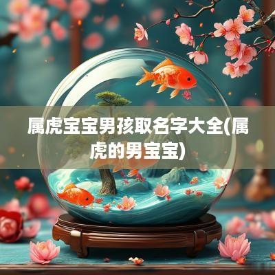 属虎宝宝男孩取名字大全(属虎的男宝宝)