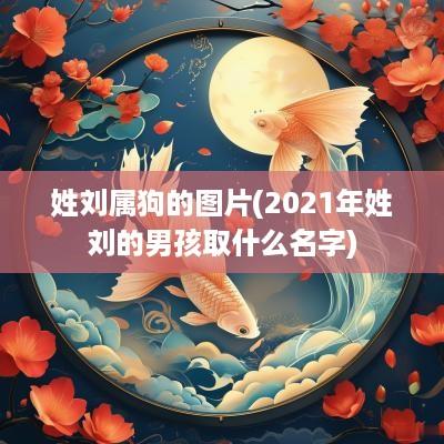 姓刘属狗的图片(2025年姓刘的男孩取什么名字)