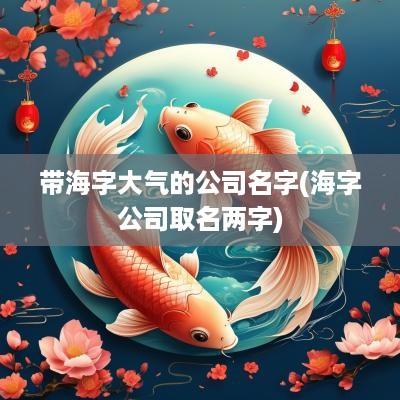 带海字大气的公司名字(海字公司取名两字)
