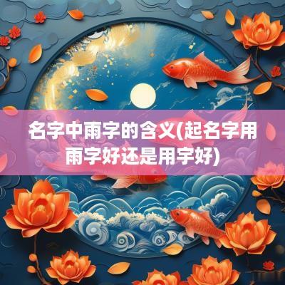 名字中雨字的含义(起名字用雨字好还是用宇好)