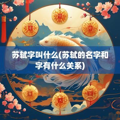 苏轼字叫什么(苏轼的名字和字有什么关系)
