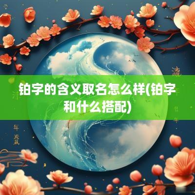 铂字的含义取名怎么样(铂字和什么搭配)