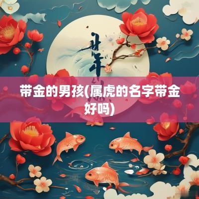 带金的男孩(属虎的名字带金好吗)