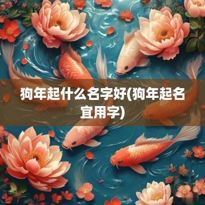 狗年起什么名字好(狗年起名宜用字)