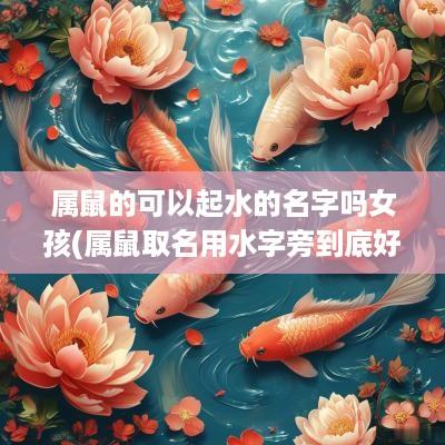 属鼠的可以起水的名字吗女孩(属鼠取名用水字旁到底好不好)