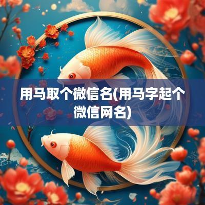 用马取个微信名(用马字起个微信网名)