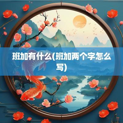 班加有什么(班加两个字怎么写)