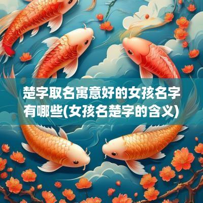 楚字取名寓意好的女孩名字有哪些(女孩名楚字的含义)