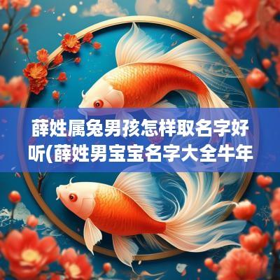 薛姓属兔男孩怎样取名字好听(薛姓男宝宝名字大全蛇年)