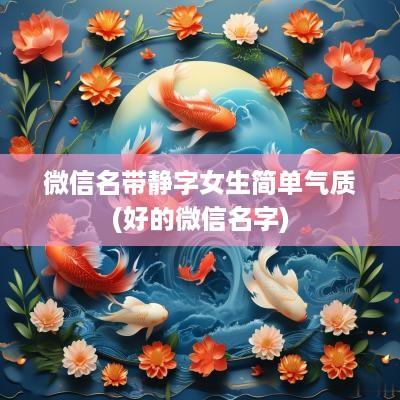 微信名带静字女生简单气质(好的微信名字)