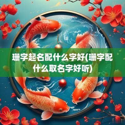 珊字起名配什么字好(珊字配什么取名字好听)